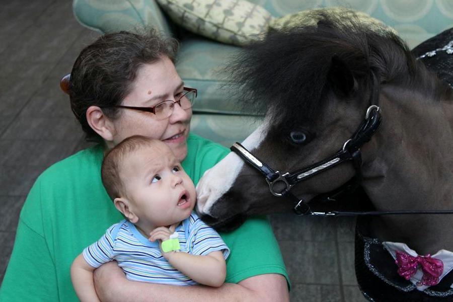 Miniature pony visit, 2015